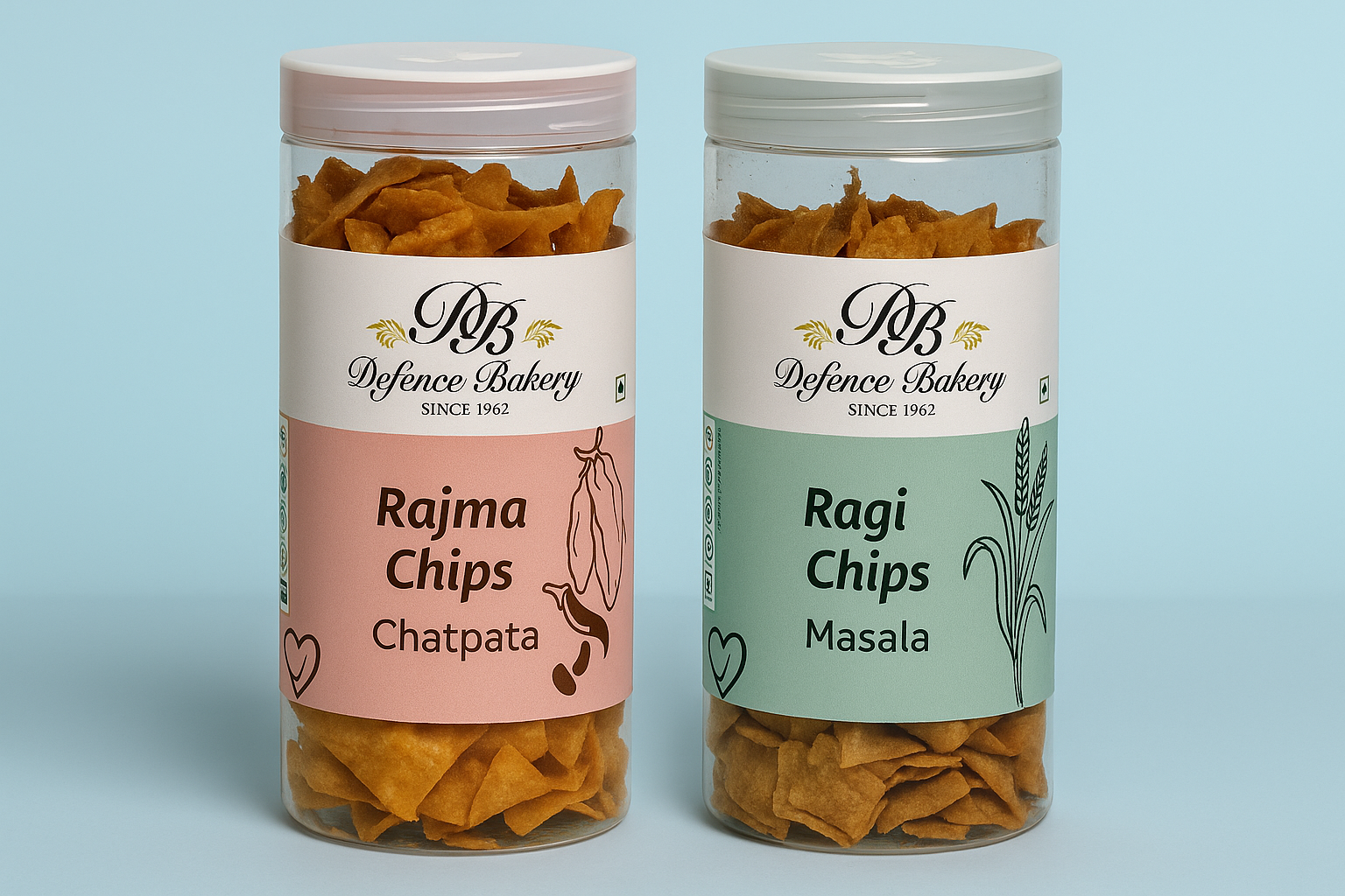 Healthy Gourmet Chips