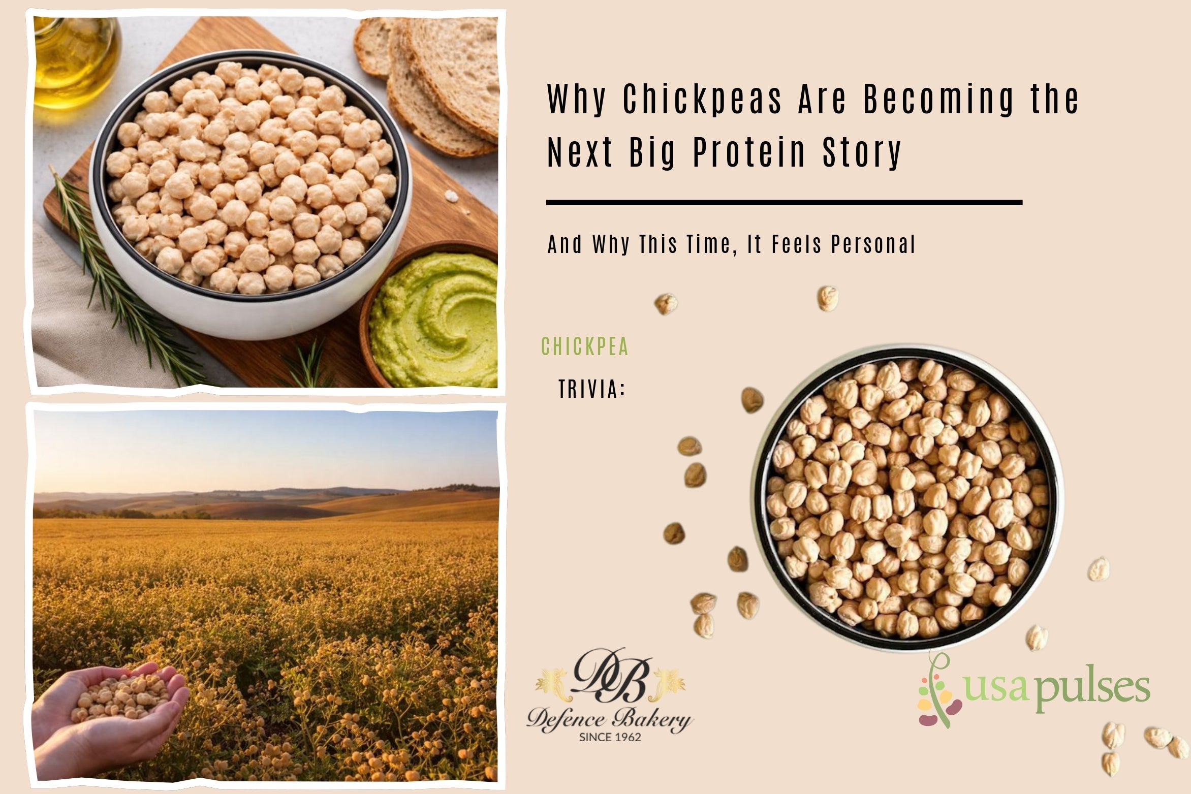 Why Chickpeas Are Becoming the Next Big Protein Story