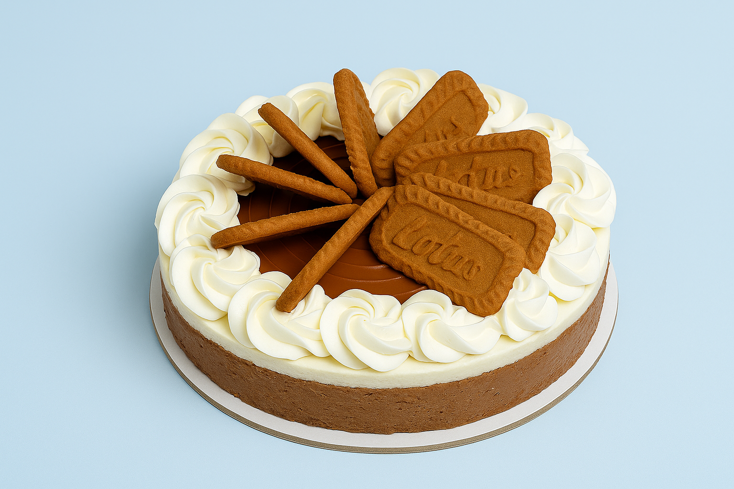 Cheesecake &amp; Slices